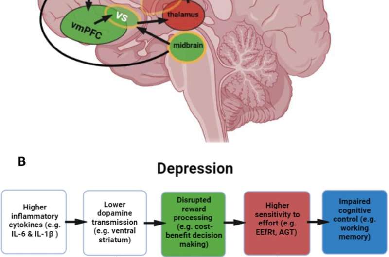 New clues point to how exercise can reduce symptoms of depression